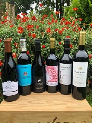 Father's Day Special Selection Cases